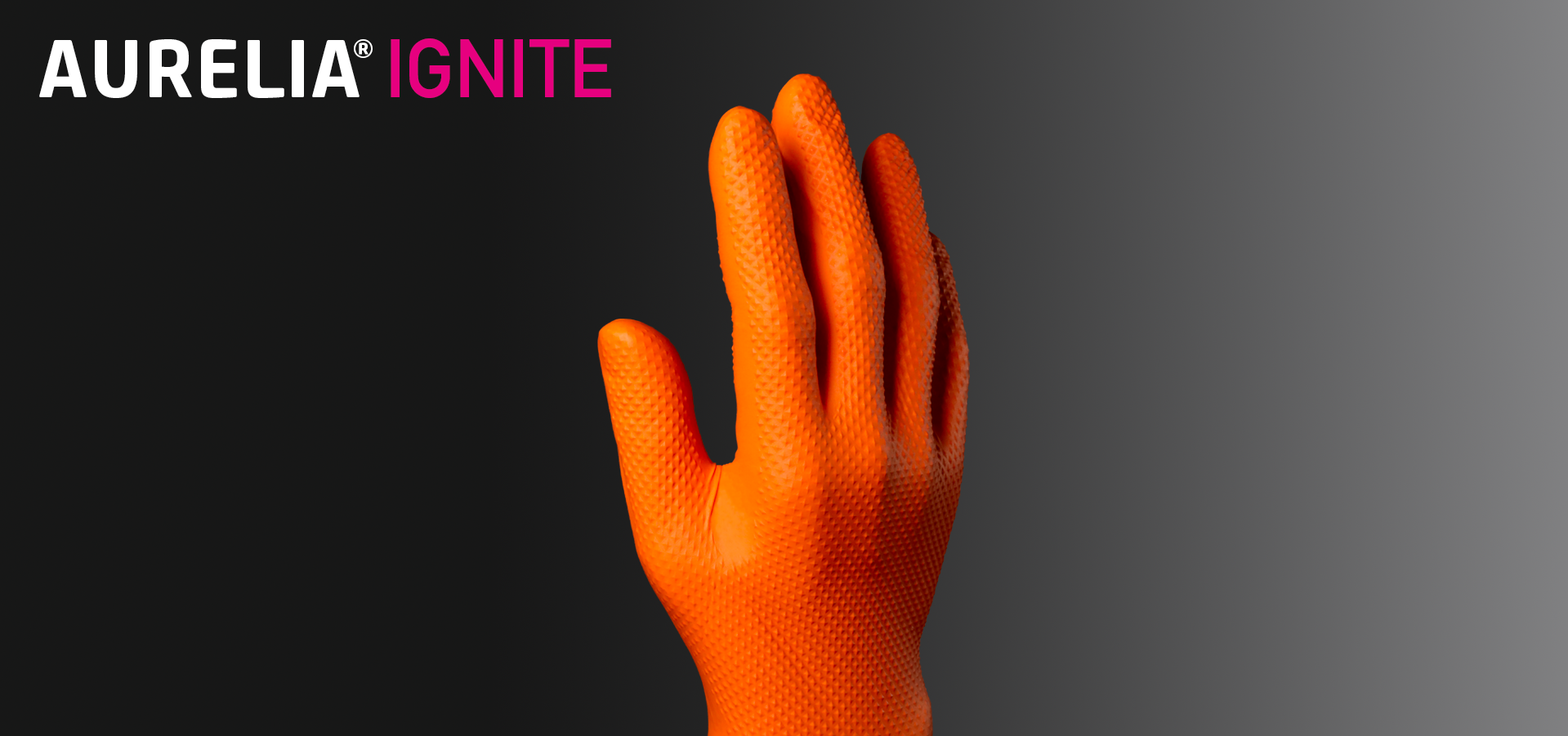 Aurelia Ignite Website Banner