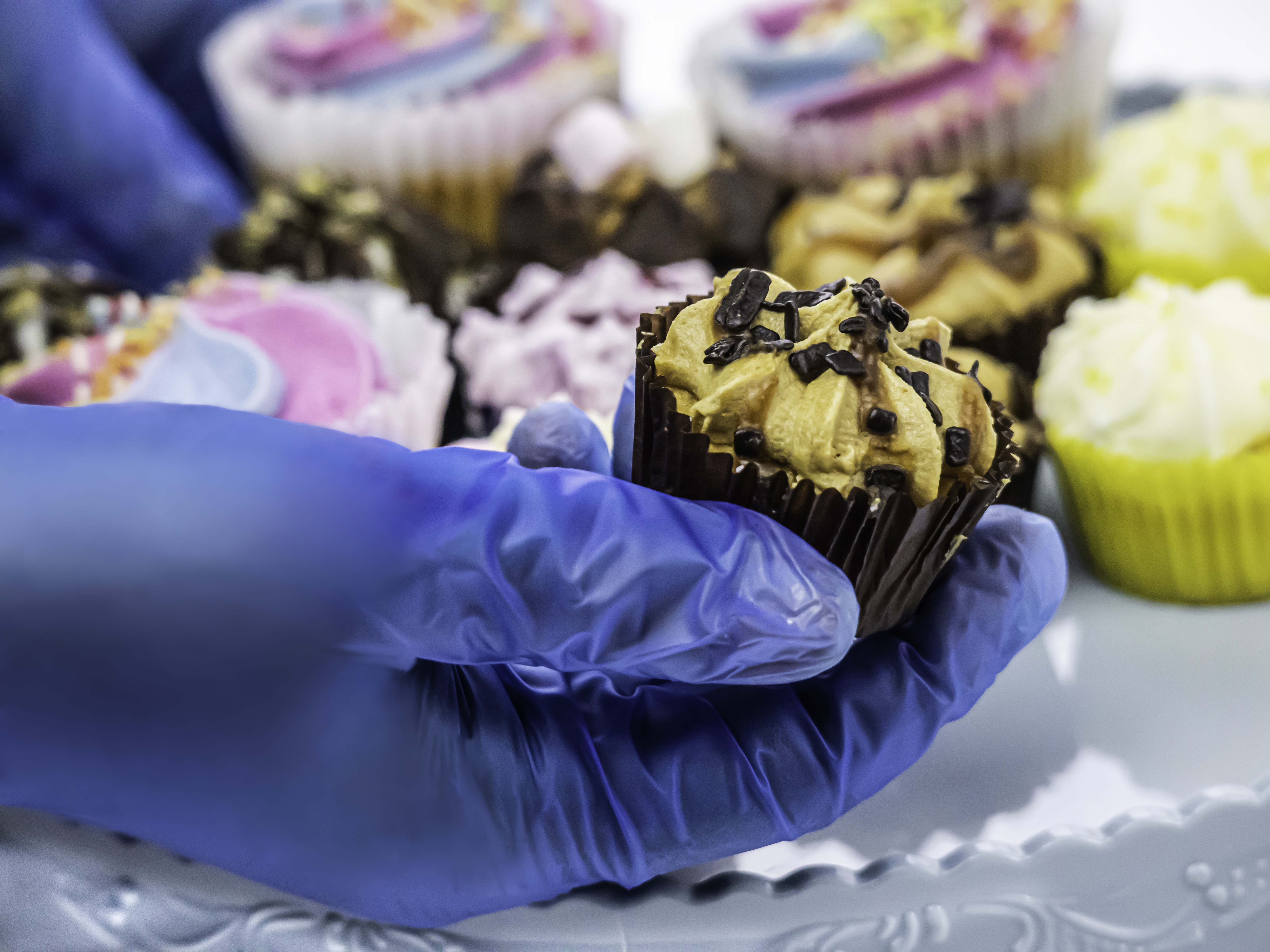 Aurelia Delight Blue Pd